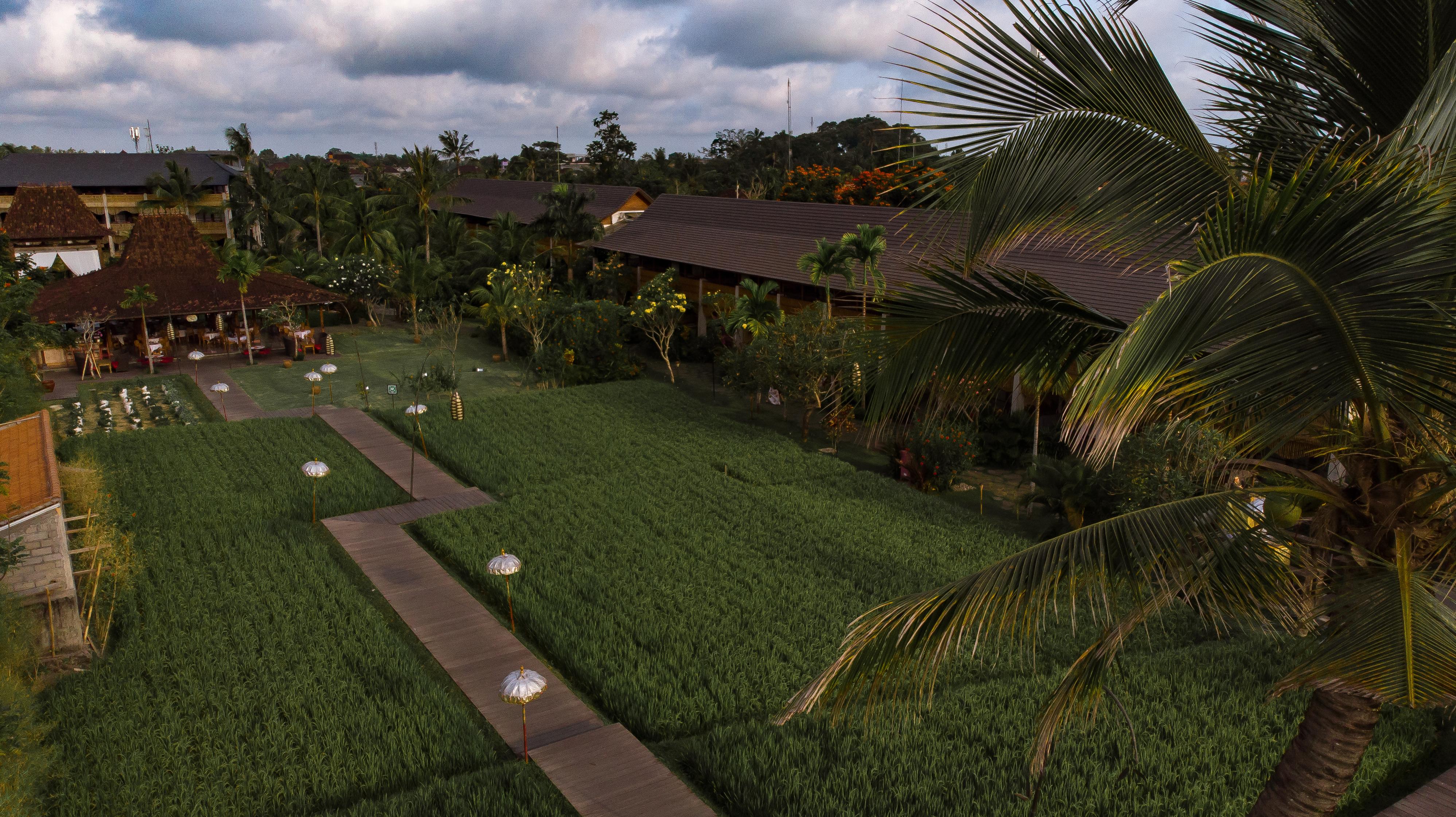 Alaya Station touristique Ubud