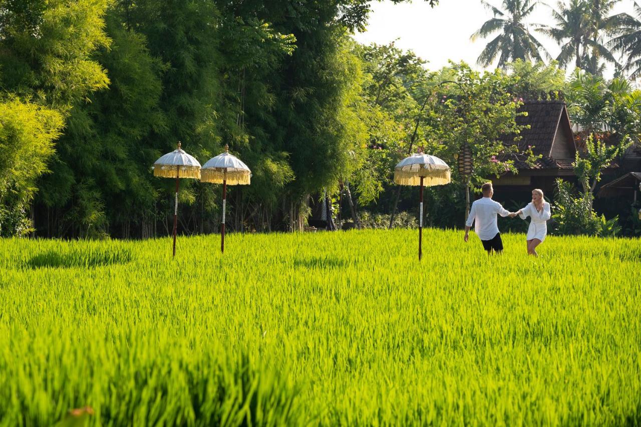 Alaya Ubud